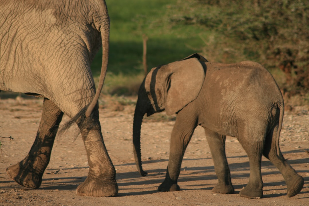 Photo Mother and baby